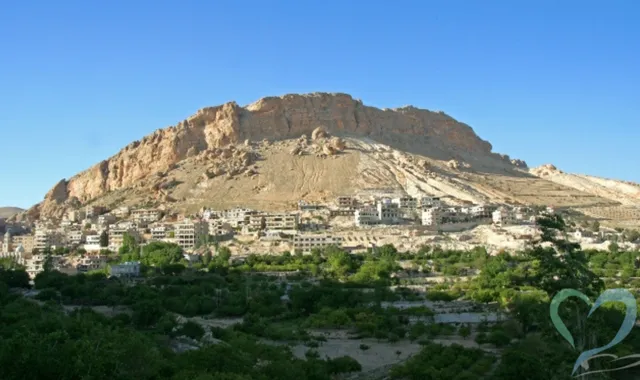 シリア　人探し